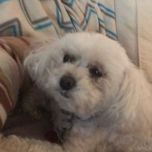 Meet your Posher, Tina